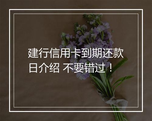 建行信用卡到期还款日介绍 不要错过！