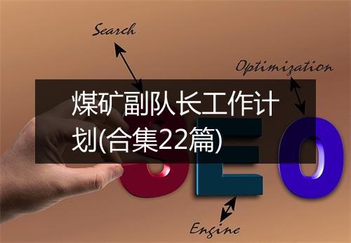 煤矿副队长工作计划(合集22篇)