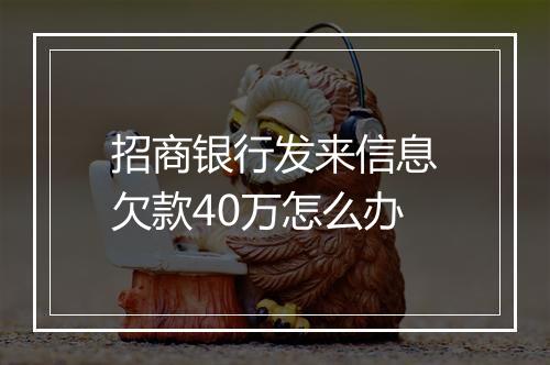 招商银行发来信息欠款40万怎么办