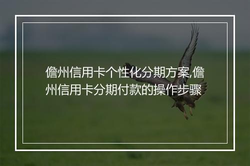 儋州信用卡个性化分期方案,儋州信用卡分期付款的操作步骤