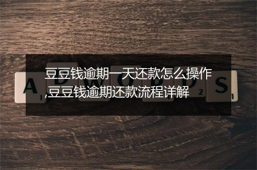 豆豆钱逾期一天还款怎么操作,豆豆钱逾期还款流程详解