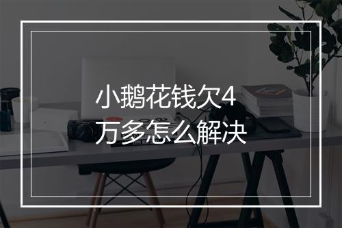 小鹅花钱欠4万多怎么解决