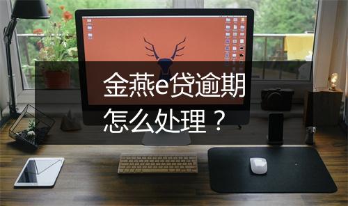 金燕e贷逾期怎么处理？