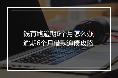 钱有路逾期6个月怎么办,逾期6个月借款追债攻略