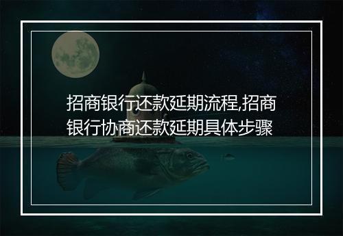 招商银行还款延期流程,招商银行协商还款延期具体步骤