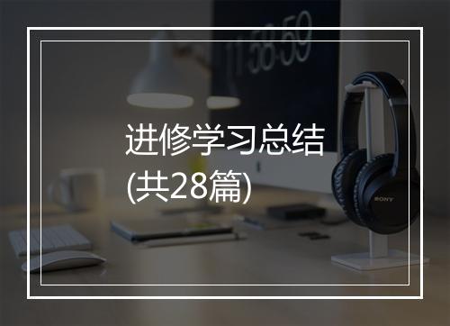 进修学习总结(共28篇)