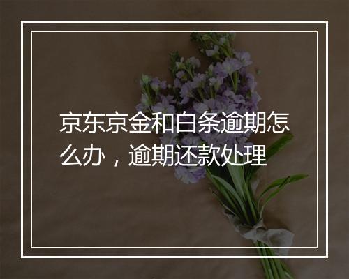 京东京金和白条逾期怎么办，逾期还款处理