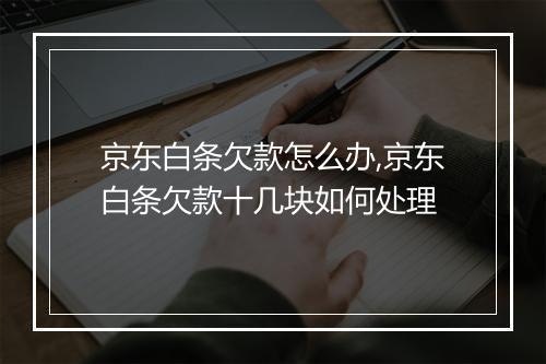 京东白条欠款怎么办,京东白条欠款十几块如何处理