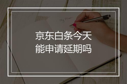 京东白条今天能申请延期吗