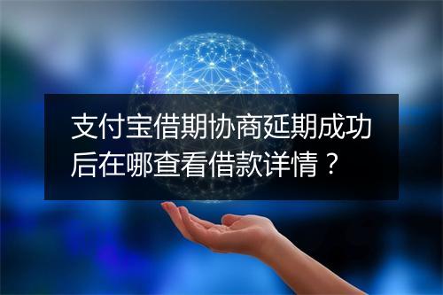 支付宝借期协商延期成功后在哪查看借款详情？