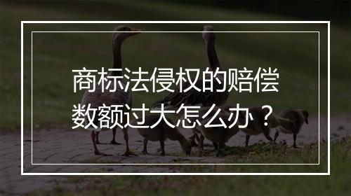 商标法侵权的赔偿数额过大怎么办？
