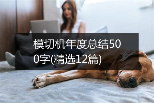 模切机年度总结500字(精选12篇)