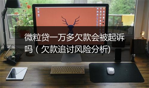 微粒贷一万多欠款会被起诉吗（欠款追讨风险分析)