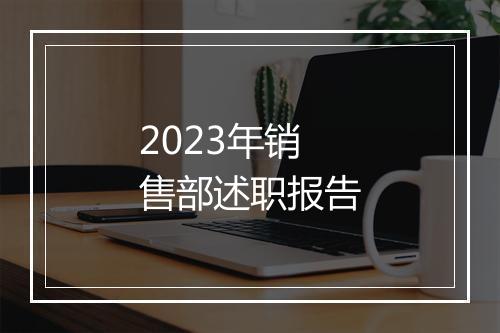 2023年销售部述职报告