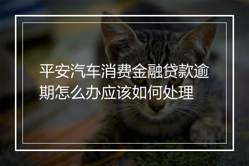 平安汽车消费金融贷款逾期怎么办应该如何处理
