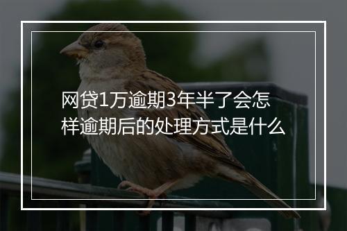 网贷1万逾期3年半了会怎样逾期后的处理方式是什么