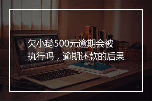 欠小鹅500元逾期会被执行吗，逾期还款的后果
