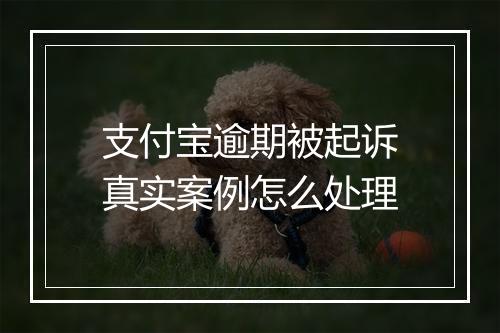 支付宝逾期被起诉真实案例怎么处理