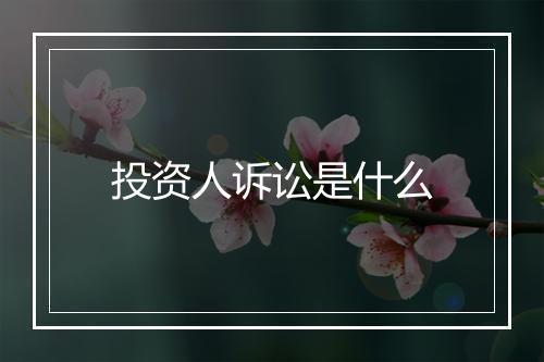 投资人诉讼是什么