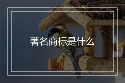 著名商标是什么