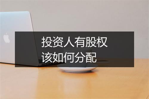 投资人有股权该如何分配