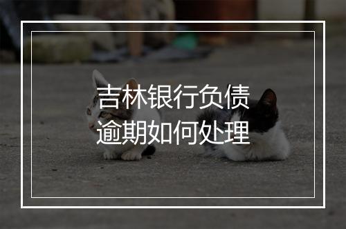 吉林银行负债逾期如何处理
