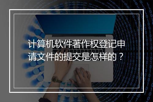 计算机软件著作权登记申请文件的提交是怎样的？