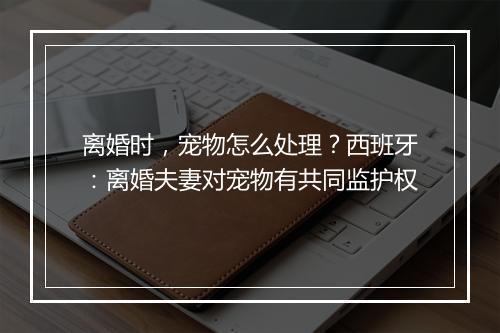 离婚时，宠物怎么处理？西班牙：离婚夫妻对宠物有共同监护权