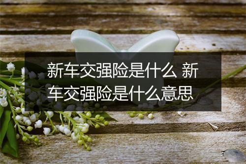 新车交强险是什么 新车交强险是什么意思