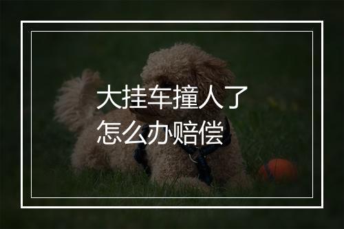 大挂车撞人了怎么办赔偿