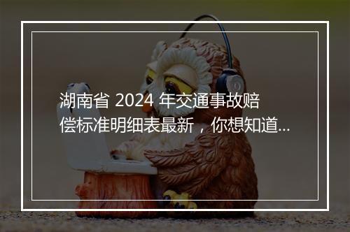 湖南省 2024 年交通事故赔偿标准明细表最新，你想知道的都在这里！