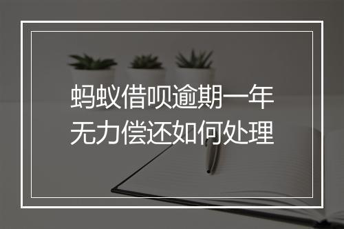 蚂蚁借呗逾期一年无力偿还如何处理