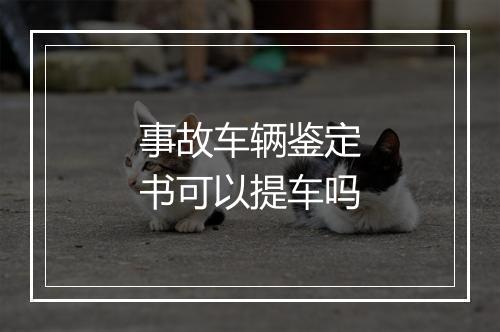 事故车辆鉴定书可以提车吗