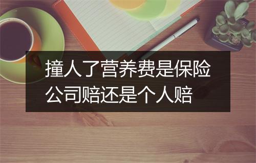 撞人了营养费是保险公司赔还是个人赔