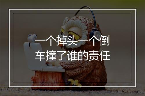 一个掉头一个倒车撞了谁的责任