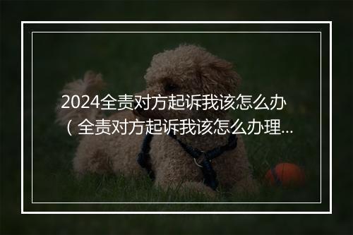 2024全责对方起诉我该怎么办（全责对方起诉我该怎么办理）