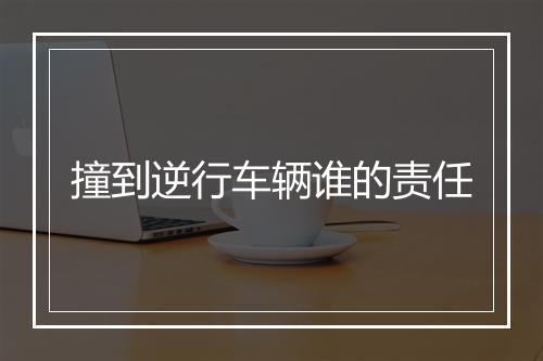 撞到逆行车辆谁的责任