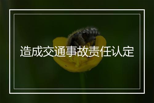 造成交通事故责任认定