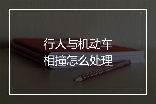 行人与机动车相撞怎么处理