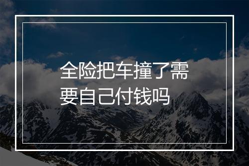 全险把车撞了需要自己付钱吗