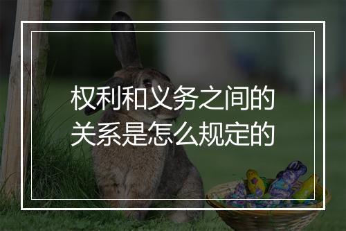 权利和义务之间的关系是怎么规定的