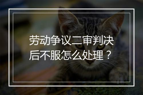 劳动争议二审判决后不服怎么处理？