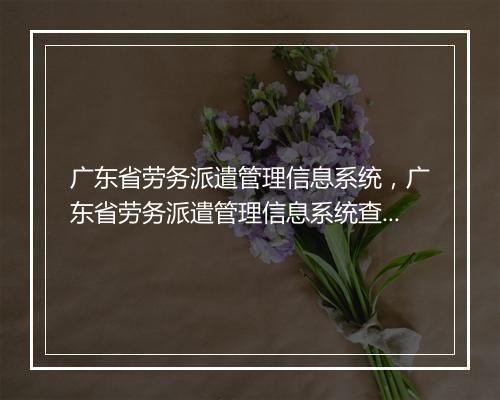 广东省劳务派遣管理信息系统，广东省劳务派遣管理信息系统查询