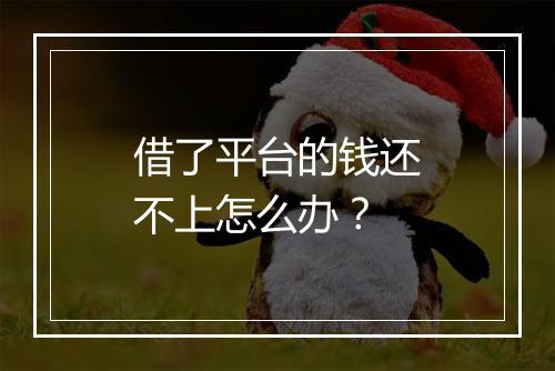借了平台的钱还不上怎么办？