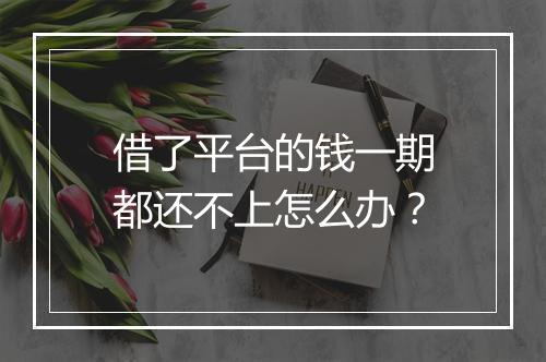 借了平台的钱一期都还不上怎么办？