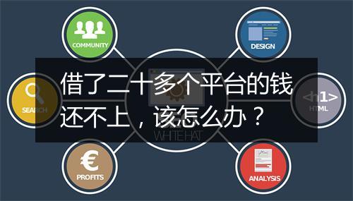 借了二十多个平台的钱还不上，该怎么办？