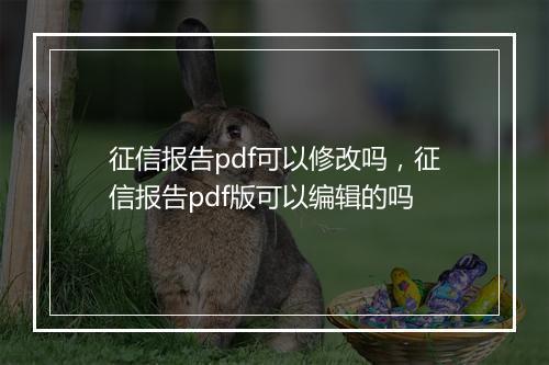 征信报告pdf可以修改吗，征信报告pdf版可以编辑的吗