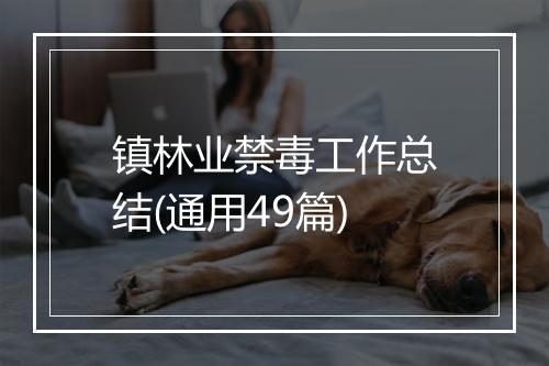 镇林业禁毒工作总结(通用49篇)