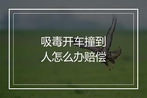 吸毒开车撞到人怎么办赔偿