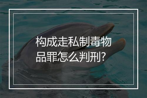 构成走私制毒物品罪怎么判刑?